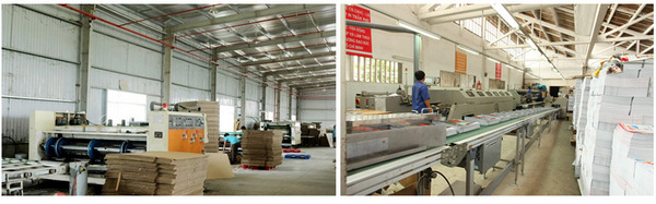 làm bao bì giấy tại Thế Giới In